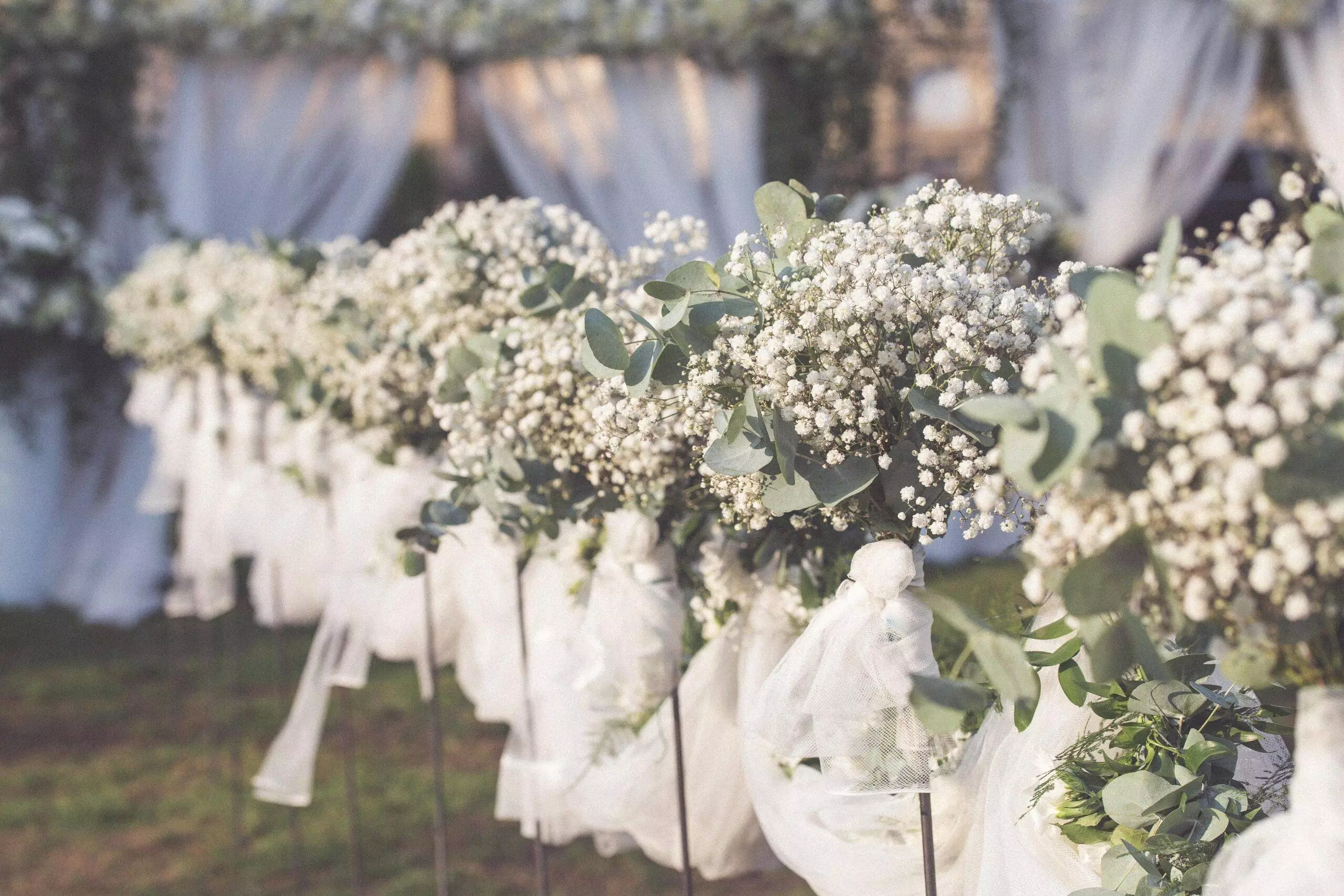 Vos décors de mariage en Serre Sauvage