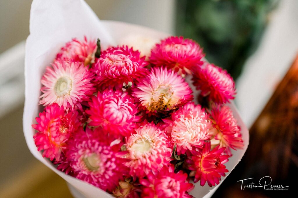 fleurs séchées pour bar à fleurs